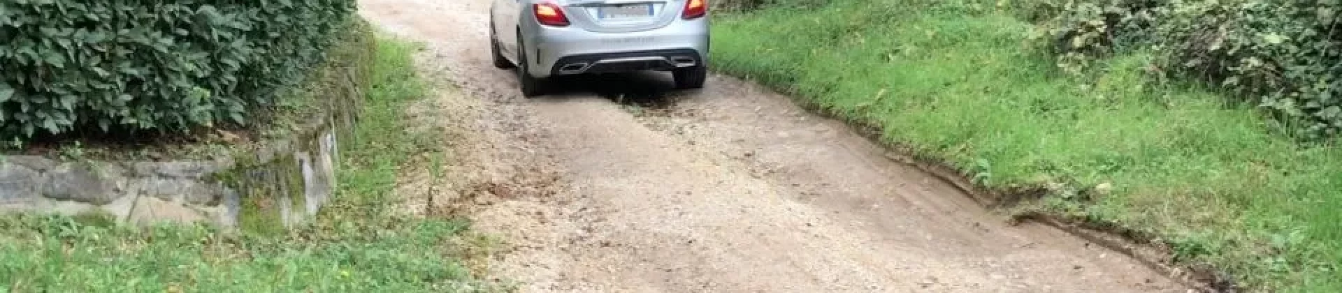 94 Auto impegnata nella difficile percorribilità di una strada sterrata circondata da vegetazione